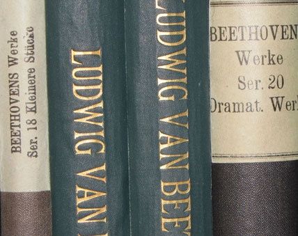 Als Buchpate knnen Sie die Rekonstruktion der Bibliothek