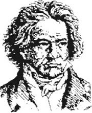 Das Arbeitsprogramm der BRGER FR BEETHOVEN fr 2013